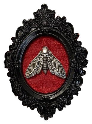 Portfolio 8